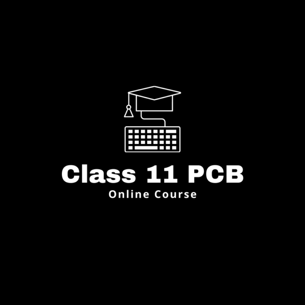 Class 11 CBSE, Bihar Board, UP Board, ICSE Board