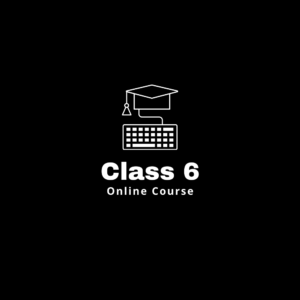 Class 6 CBSE, Bihar Board, UP Board, ICSE Board Online Classes